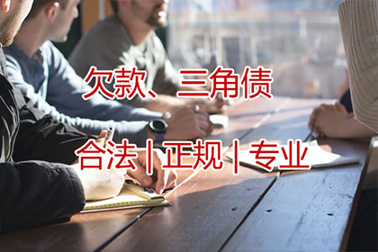 集体诉讼指控个人借款欺诈是否成立？
